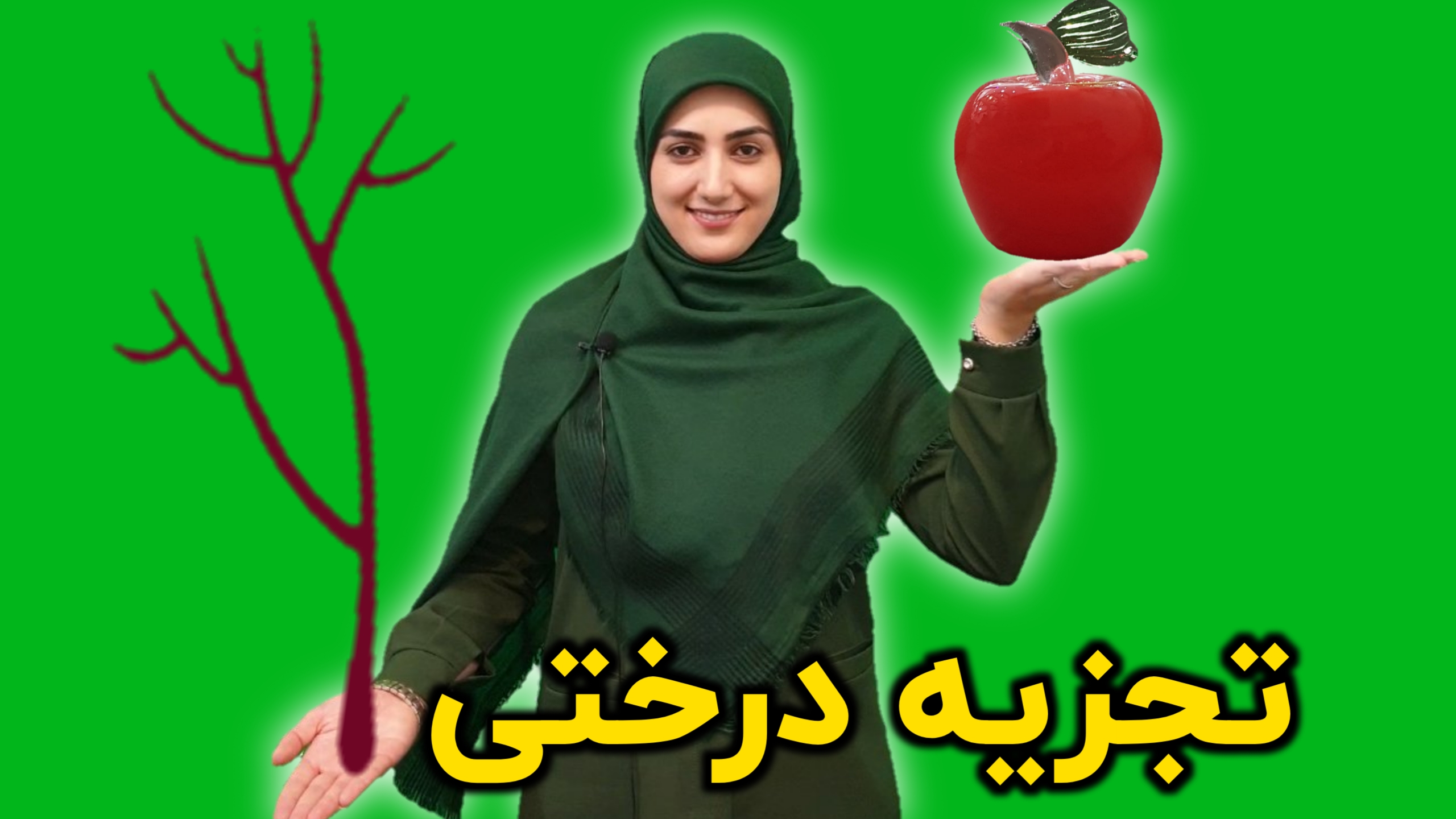 تجزیه عدد به شمارنده های اول